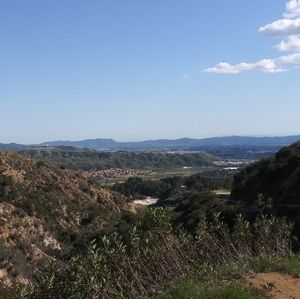 Meet your Posher, Cynthia